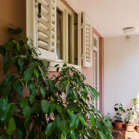 Jelka Guest house 3*